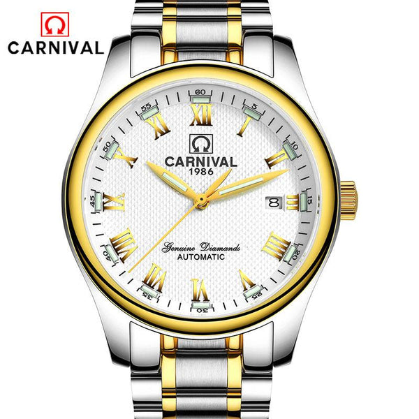 Carnival Top Brand Luxury Watch Men Automatic Mechanical Watches Tritium Luminous Stainless Steel Waterproof Male Clock relojes